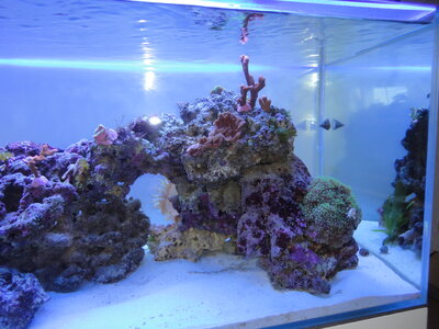 DSC03758.JPG