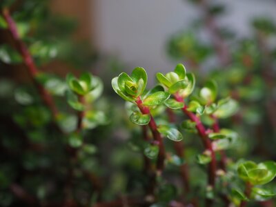 IMG_1642.jpeg