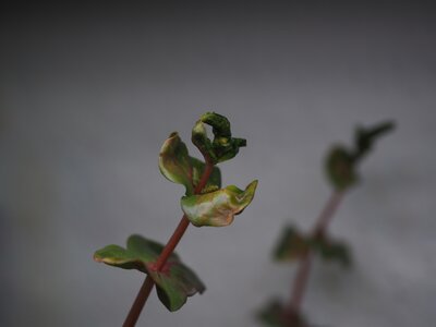 IMG_1641.jpeg
