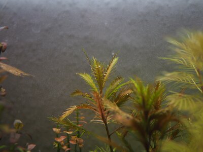 IMG_1647.jpeg