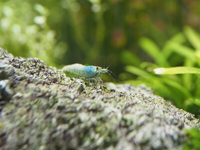 IMG_1646.jpeg