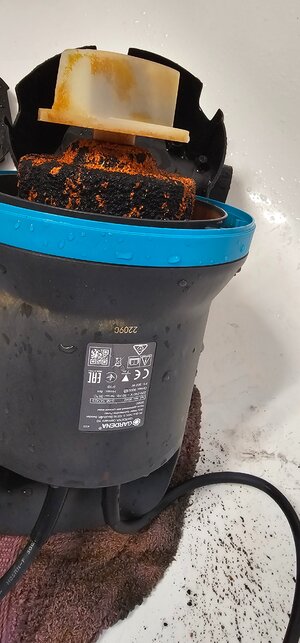 20250313_171402.jpg