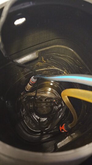 IMG-20250313-WA0009.jpeg