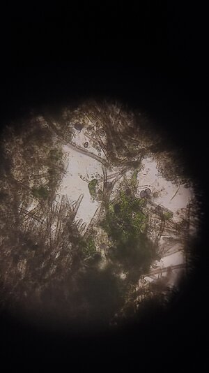 IMG_20250318_122253.jpg