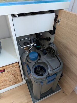 PXL_20250323_111355308.jpg
