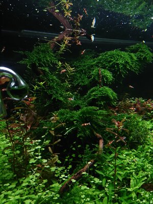DSC_0041.JPG
