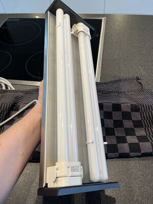 IMG_4476.jpeg