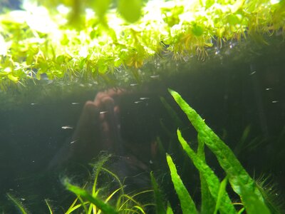 IMG_20250406_153603.jpg