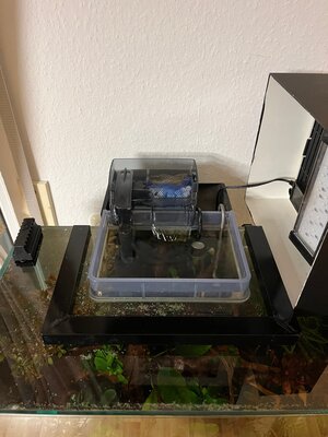 IMG_1927.jpg