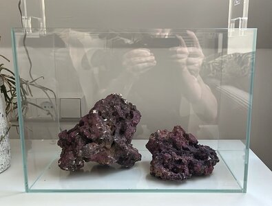 IMG_0958.jpeg