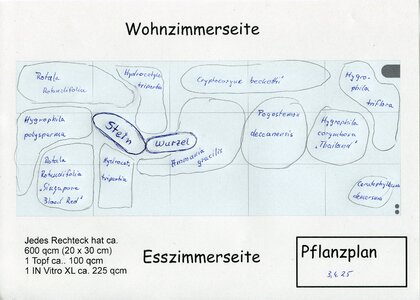 20250403 1 Pflanzplan.jpg