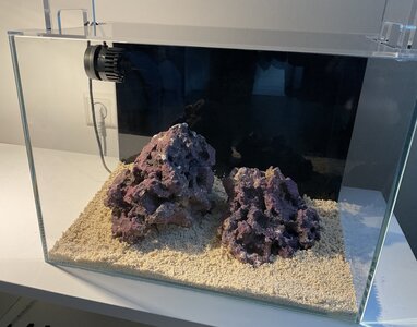 IMG_0975.jpeg