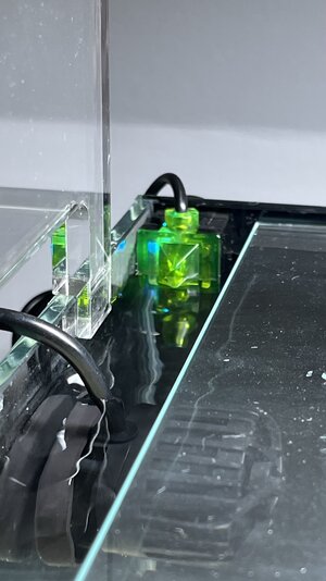 IMG_4827.jpeg
