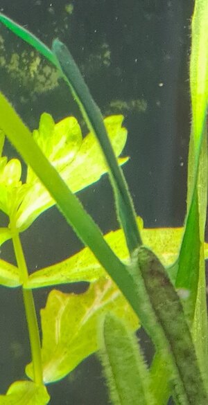 20250525_110818.jpg