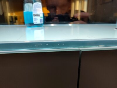 IMG_20250517_201032.jpg