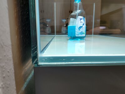 IMG_20250517_202251.jpg