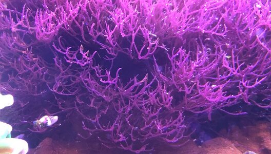IMG_1055.jpeg