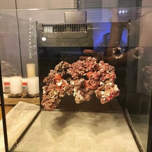 IMG_1037.jpeg