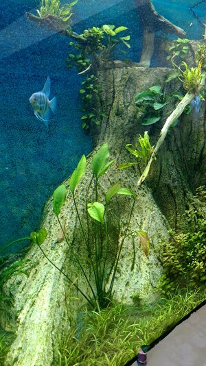 20250713_104709.jpg