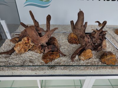 Hardscape im Laden.jpg