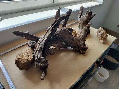 Hardscape zu Hause ver 1 Bild 3.jpg