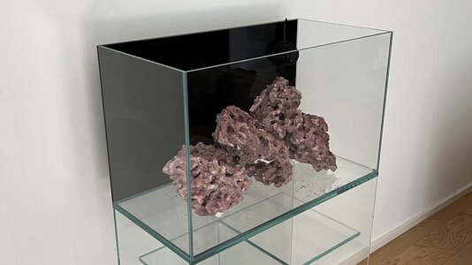 IMG_5432.jpeg