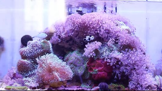 IMG_1111.jpeg
