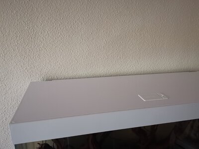 IMG_20250721_100716.jpg