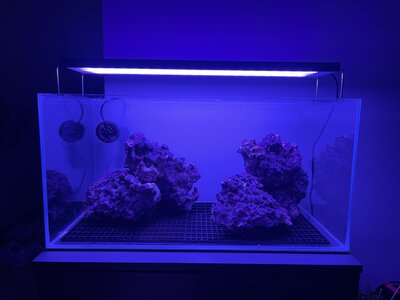 IMG_0816.jpeg