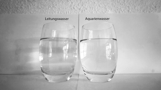 Aquarienwassertest 29.07.2025.jpg