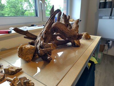 Hardscape zu Hause ver 2 Bild 1.jpg