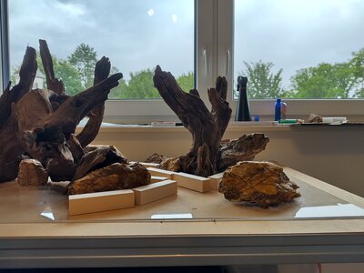 Hardscape zu Hause ver 2 Bild 2 mit Klötzchen.jpg