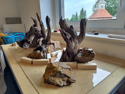 Hardscape zu Hause ver 2 Bild 3 mit Klötzchen.jpg