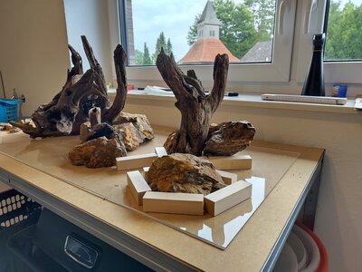 Hardscape zu Hause ver 2 Bild 4 mit Klötzchen.jpg
