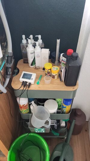 20250723_175500.jpg