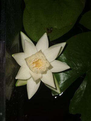 IMG_20250806_220613.jpg
