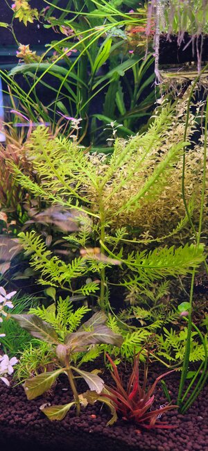 20250809_163333~2.jpg
