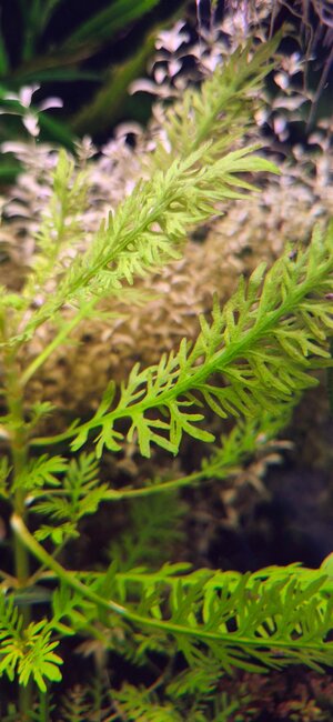 20250809_163353~2.jpg