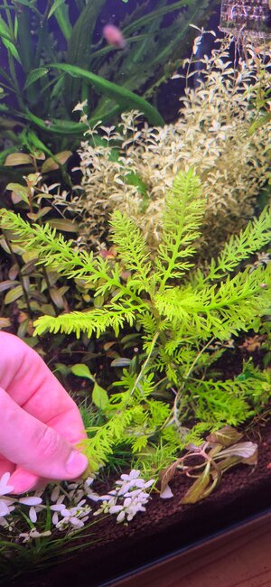 20250806_183248~2.jpg