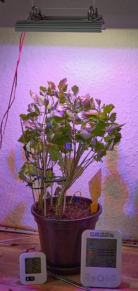 2016.10.30_03.jpg