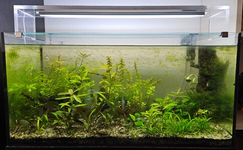 60x30x30 Ist Zustand.jpg