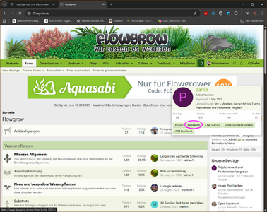 Clipboard_09-04-2025_01.png