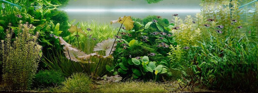Aquarium 16.09.2025.jpg