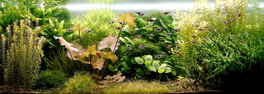 Aquarium 21.09.2025.jpg