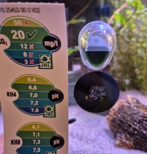 20250926_121550.jpeg