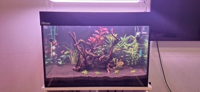 WhatsApp Bild 2025-09-27 um 14.18.25_6fd8ab6a.jpg