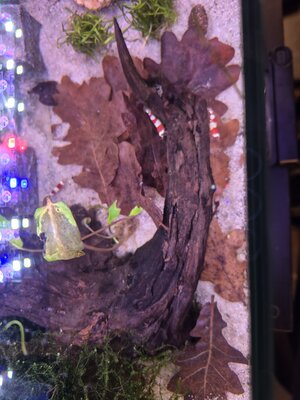 20251004_083418.jpeg