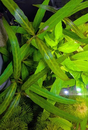 PXL_20251012_151810983~2.jpg