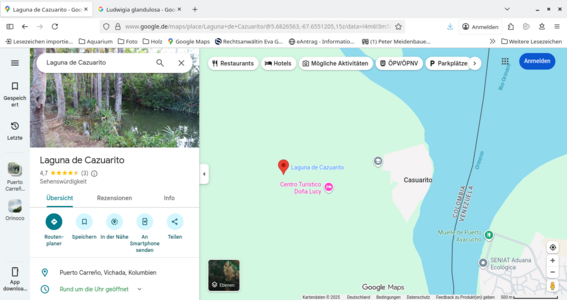 Screenshot_20251017_144932-1.png
