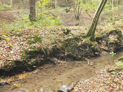 20251022_145704.jpg